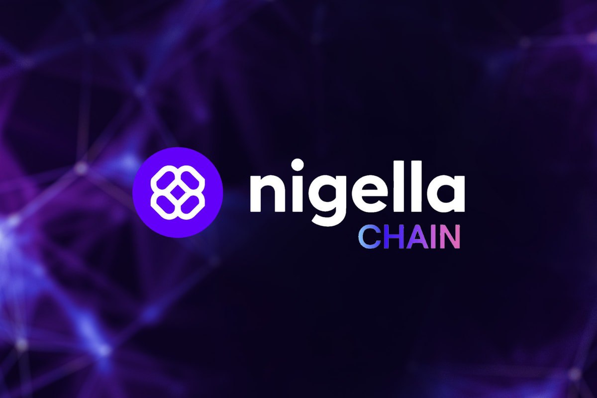 Navigating the Waters of Nigella USDT: A Practical Guide for Crypto Investors